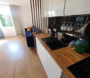 Walbrzych Apartamento | Studio szczawienko