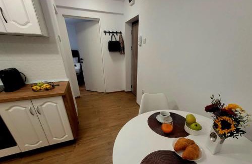 Hunedoara Apartamento | Studio TAD HOUSE Hunedoara