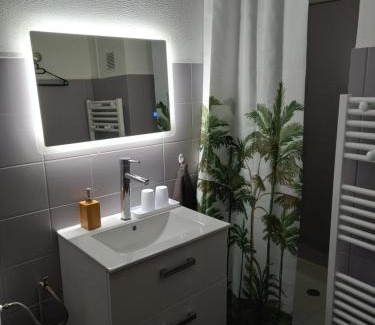 Revigny-sur-Ornain Apartamento | Studio tout équipé