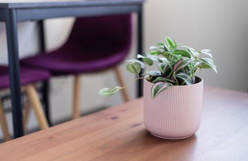 Knutange Apartamento | Studio Victor 102 - Petit cocon bien situé