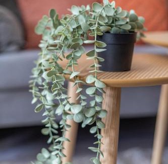 Knutange Apartamento | Studio Victor 105 - Chic & Chaleureux