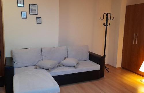 Borovets Apartamento | Studio Villa Park 410