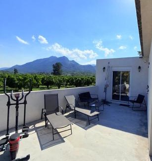 Santa-Lucia-di-Moriani Apartamento | Studio vue sur les clémentiniers