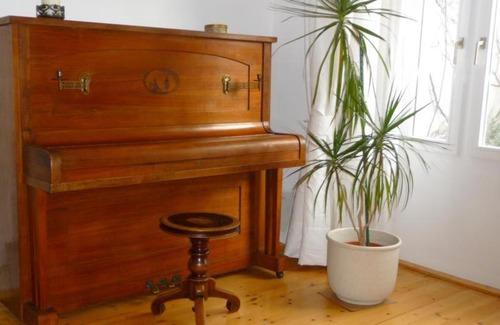 Wahring Apartamento | Studio Währing