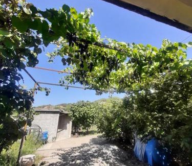 Permet Apartamento | Studio with garden