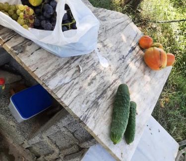 Permet Apartamento | Studio with garden
