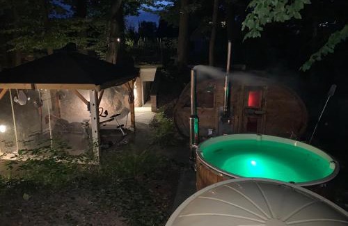 gmina Debowiec Apartamento | Studio z kominkiem z leśną sauną, jacuzzi , w okolicy Cieszyn