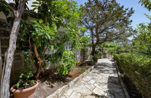 Zavala Apartamento | Studio Zavala 2061a