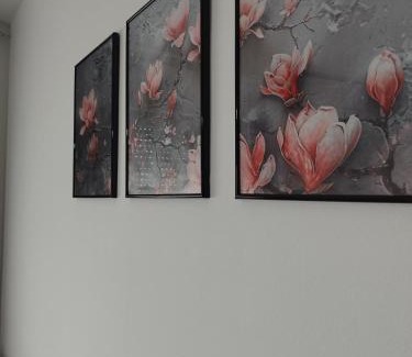 Ruma Apartamento | Studio29 2