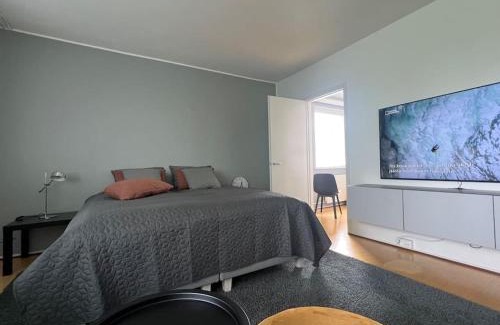 Lappeenranta Apartamento | Studiohuoneisto Liisankatu