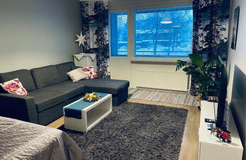 Lappeenranta Apartamento | Studiohuoneisto Vallikadun Helmi, 56 m2, AC,Wifi,parveke