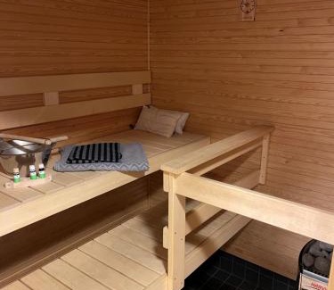 Lappeenranta Apartamento | Studiohuoneisto Valtakatu 45, sauna, AC, WiFi