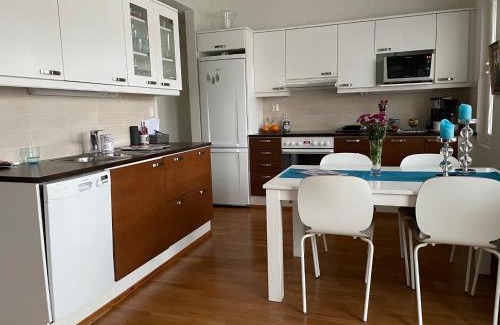 Lappeenranta Apartamento | Studiohuoneisto Valtakatu 45, sauna, AC, WiFi