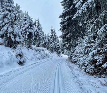 Horni Blatna Casa | Stuga Horni Blatna