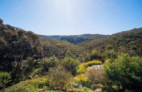 Katoomba Casa | Stunning 180 Views/Families & Groups/Pet Friendly