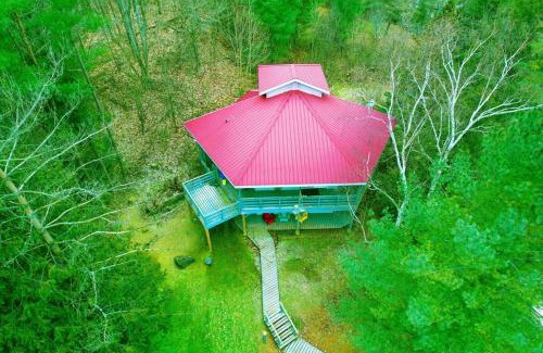Brighton Casa | Stunning all season Cottage surrounded by nature!