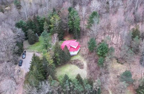 Brighton Casa | Stunning all season Cottage surrounded by nature!