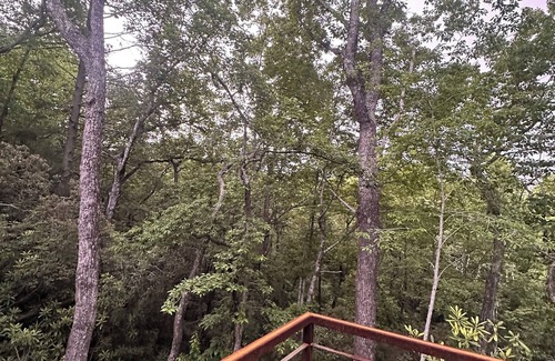 Brevard Cabina | Stunning brand new modern 2-bedroom cabin in beautiful Brevard with AC, WiFi