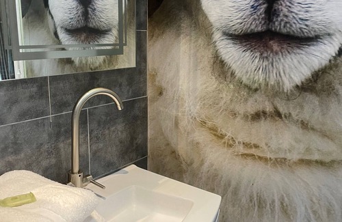 Carlisle Villa | Villa-Estándar-Baño Privado-Petteril House