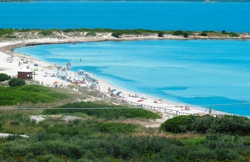 Capo Coda Cavallo Villa | Impresionante villa de lujo con piscina y amplio jardín a 50 metros de la playa.
