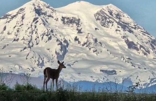 Eatonville Casa | Stunning Mt Rainier Views!tahoma Ridge Cottage