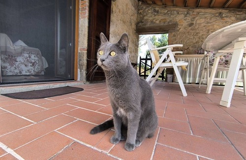 Massa Marittima Casa | Casa de vacaciones privada con WIFI, TV, patio, mascotas permitida, vista panorámica, aparcamiento