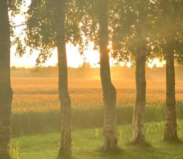 Idestrup Casa | Stunning Romantic Cabin close to Baltic see