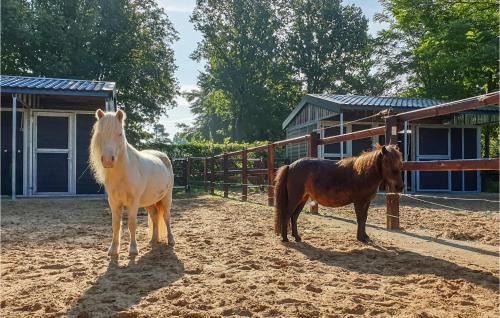 Hoogersmilde Otro | Stunning StaCaravan In Hoogersmilde