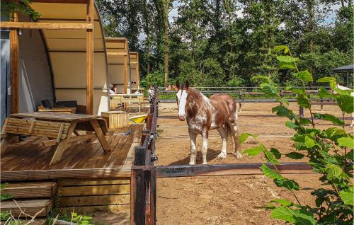 Hoogersmilde Otro | Stunning StaCaravan In Hoogersmilde