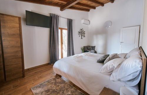 Privlaka Villa | Stunning Villa for 10 people with large heated pool-50m2, jacuzzi and gym - by TA Leut Agency