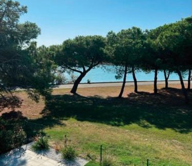 Isola Albarella Villa | Stunning villa with pool and lagoon view