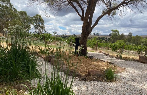 Upper Wakefield Casa | Stylish 3-bedroom cottage set amongst the vines