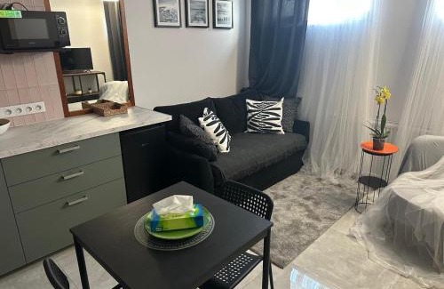 gmina Debe Wielkie Apartamento | Stylish apartmens near Minsk Mazowiecki