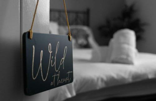 Dundee Apartamento | Stylish Apartment with Free Parking Near City and Bus Links