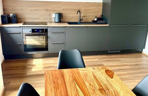 Loerrach Apartamento | Stylish new vacation apartment (Fides)