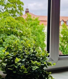 Lindenau Apartamento | Stylish & sunny Apt near River