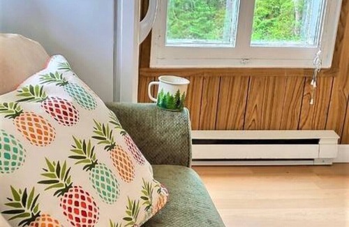 Saint-Tite-des-Caps Chalet De Esquí | Stylish-vintage refuge near Massif & MSA with spa