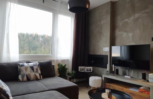 Janske Lazne Apartamento | Stylový apartmán přímo u lanovky, vlastní garážové stání