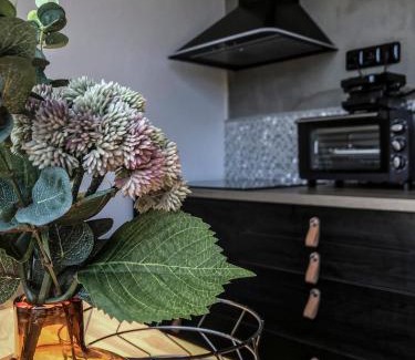 Janske Lazne Apartamento | Stylový apartmán přímo u lanovky, vlastní garážové stání