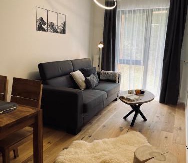 Janske Lazne Apartamento | Stylový apartmán Ski&Bike, Janské Lázně