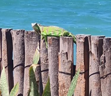 Icapui Casa | Suíte Pé na Areia - Praia da Peroba - Icapuí