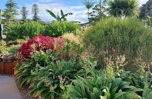 Matapouri Casa | Sub-tropical Escape - new, modern holiday home in Matapouri Park