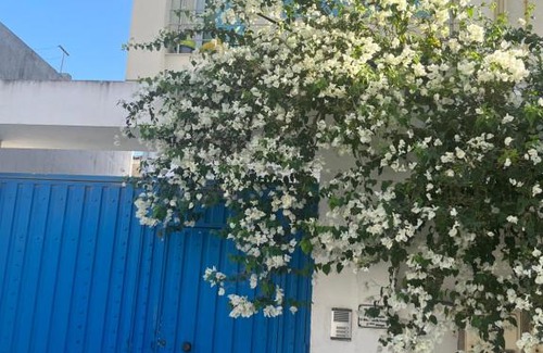Khaznadar Apartamento | Sublime duplex au Bardo Tunis