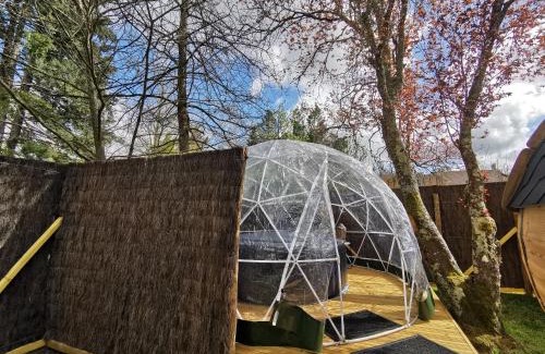 Pruniers-en-Sologne Otro | sublime tonneau avec spa sous bulle privatif