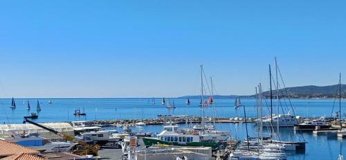 Frejus Port Apartamento | Sublime vue mer,parking,wifi