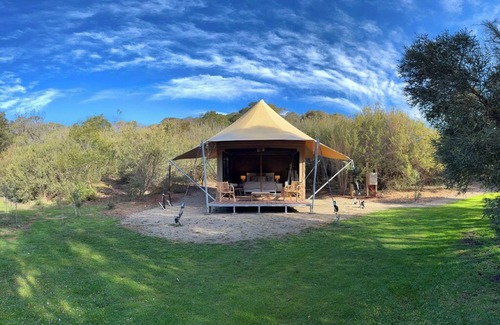 Fingal Cabina | Submerse yourself in nature - Unique Glamping experience, Mornington Peninsula.