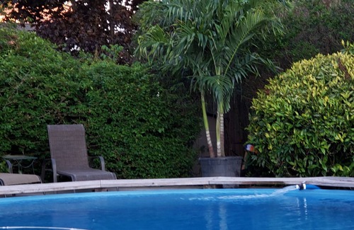 Rockville Centre Casa | Suburban Glamping