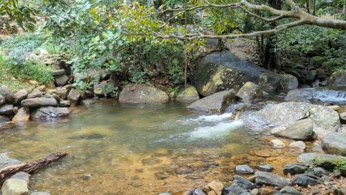 Kuruwita Otro | Sudagala Jungle Glamping