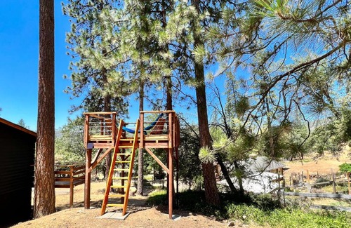 Oakhurst Casa | Sugar Pine Log Cabin