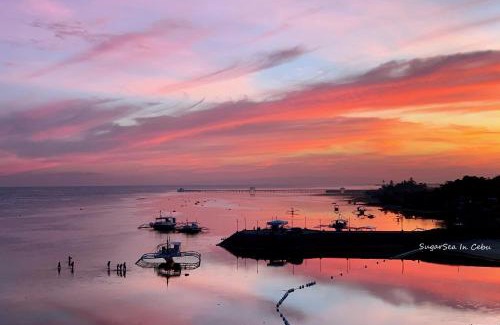 Lapu-Lapu Complejo | Sugarsea Inn & Dive shop
